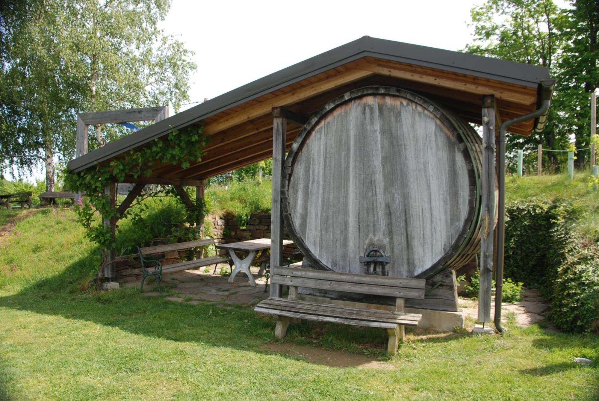 Naturpark-.Weinbergferienhaus Kitzeck im Sausal Ngoại thất bức ảnh